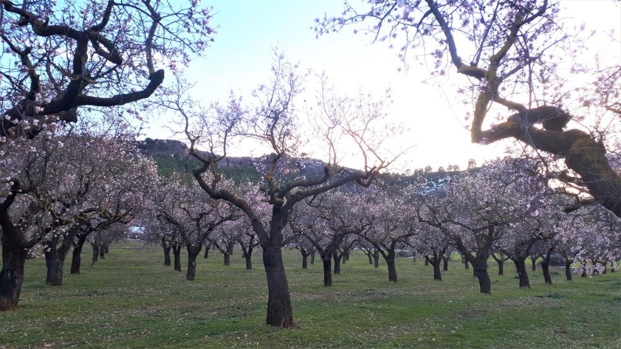 Apartamento El Racó de les Grases Horta de Sant Joan Exterior foto